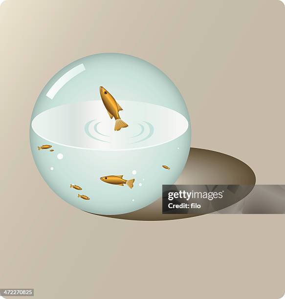 Spherical Aquarium Vector, Bildbanksbilder