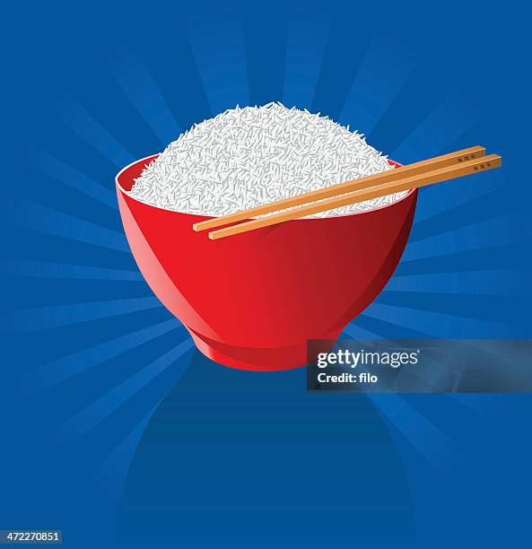 Vector Rice Bowl Photos and Premium High Res Pictures - Getty Images