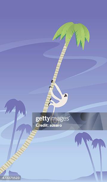 beach monkey - monkey hanging stock illustrations