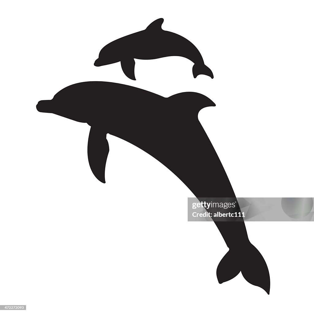 Jumping dolphins