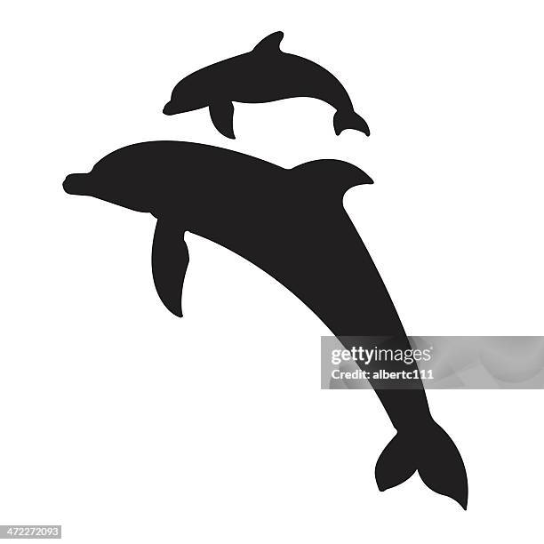 jumping dolphins - dolphin stock illustrations