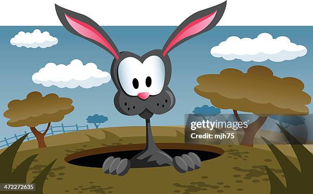 down the rabbit hole - rabbit burrow stock illustrations