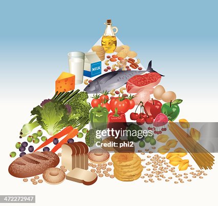Food Pyramid Vector Food Pyramid Vector