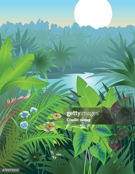 illustrazioni stock, clip art, cartoni animati e icone di tendenza di sogno di giungla - sky and trees green leaf illustration
