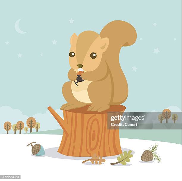 ilustraciones, imágenes clip art, dibujos animados e iconos de stock de ardilla común - ardilla