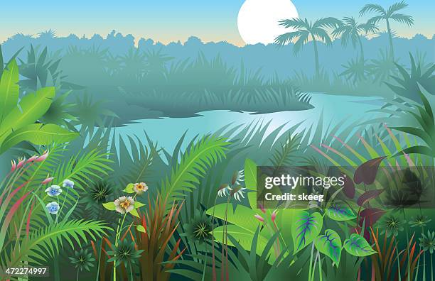 Ilustraciones de Selva Tropical - Getty Images Ilustraciones de Selva Tropical - Getty Images
