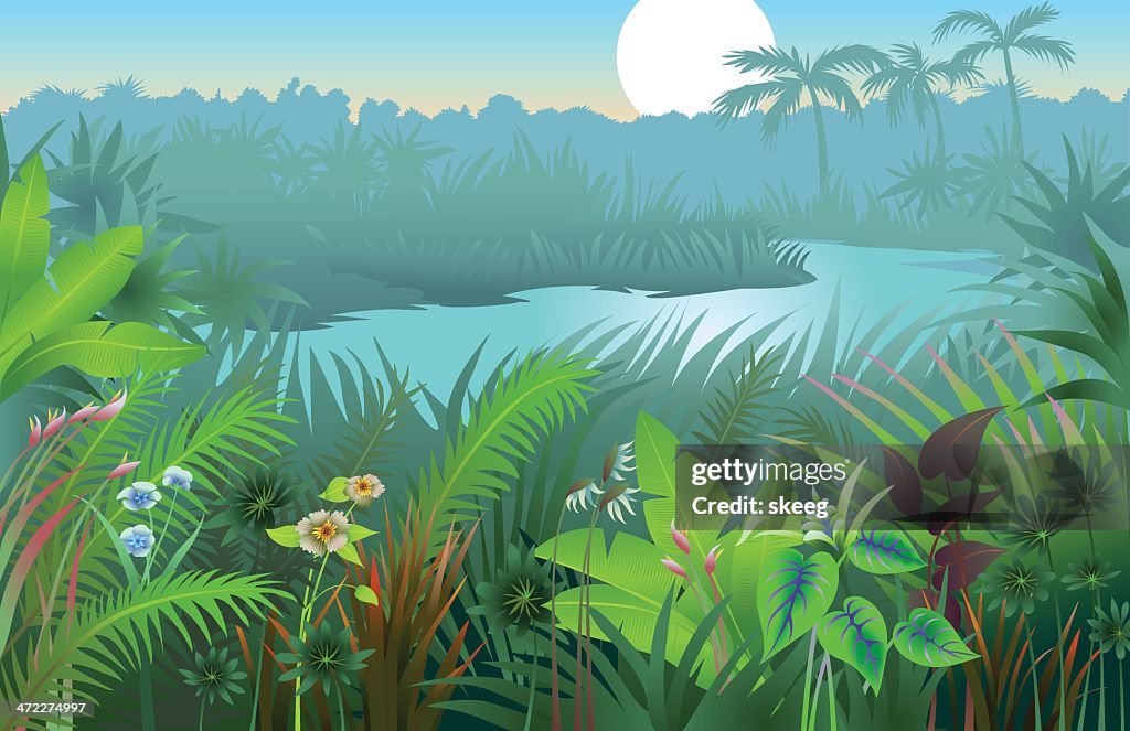 A vibrant image of a jungle landscape background