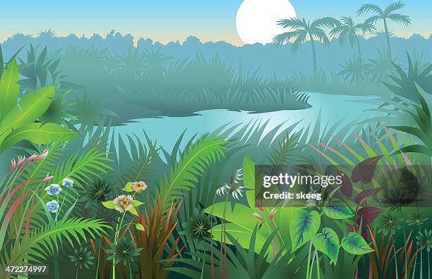 a vibrant image of a jungle landscape background - flowerbed stock illustrations