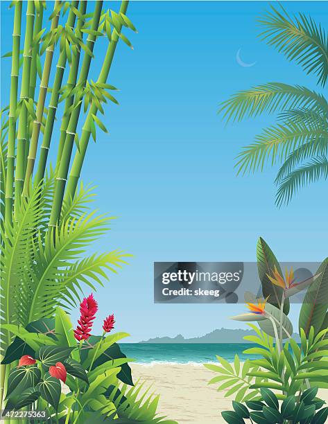 stockillustraties, clipart, cartoons en iconen met tropical garden view - anthurium