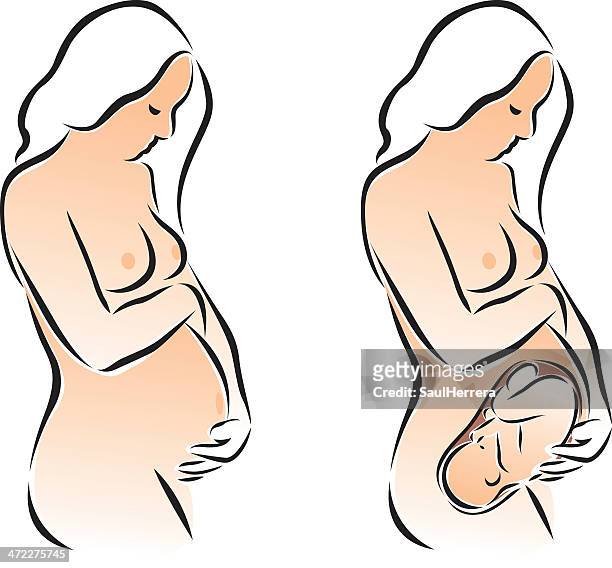 pregnancy - 26 week fetus stock illustrations