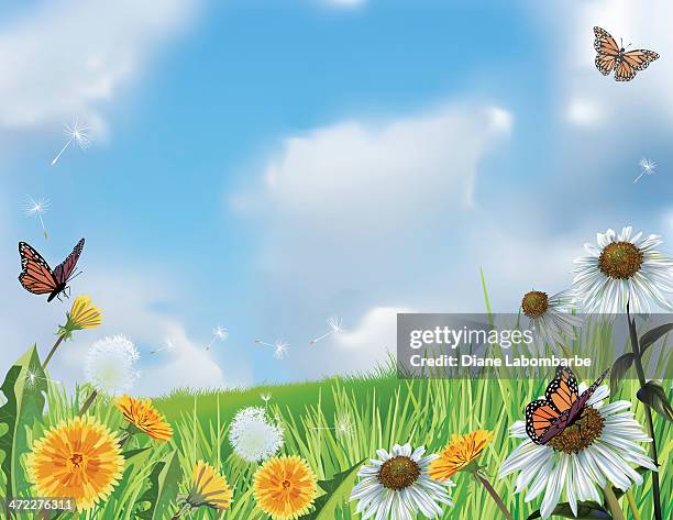 bright spring hillside with flowers - spring flower border stock illustrations