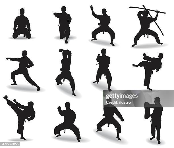 stockillustraties, clipart, cartoons en iconen met martial arts - zelfverdediging