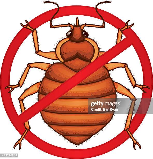 exterminate bed bugs - bed bug stock illustrations
