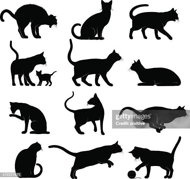 stockillustraties, clipart, cartoons en iconen met cats silhouettes - katachtigen