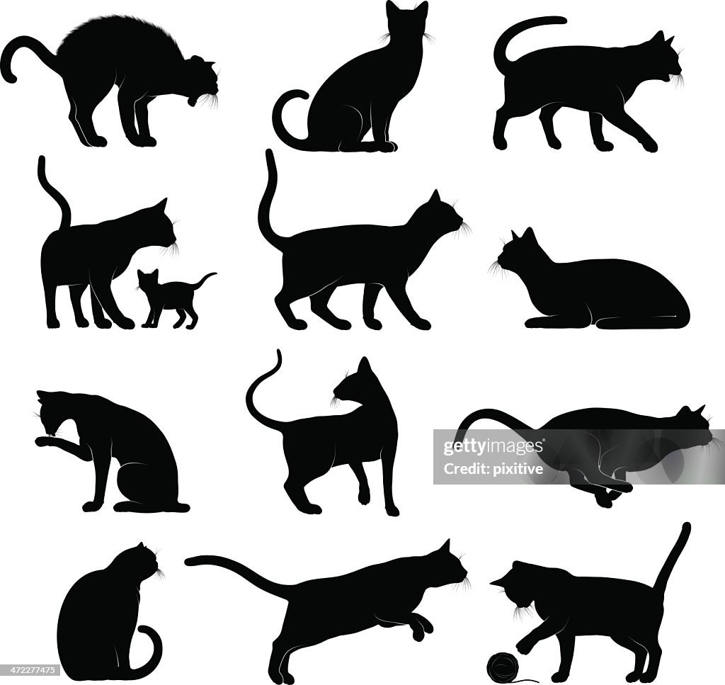 Cats Silhouettes