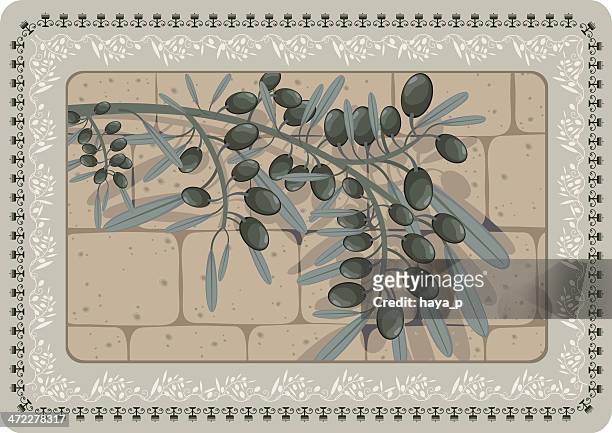 olive branch with shadow on stone wall, floral frame - wailing wall stock illustrations