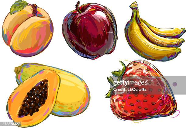 fresh fruits - papaya stock illustrations