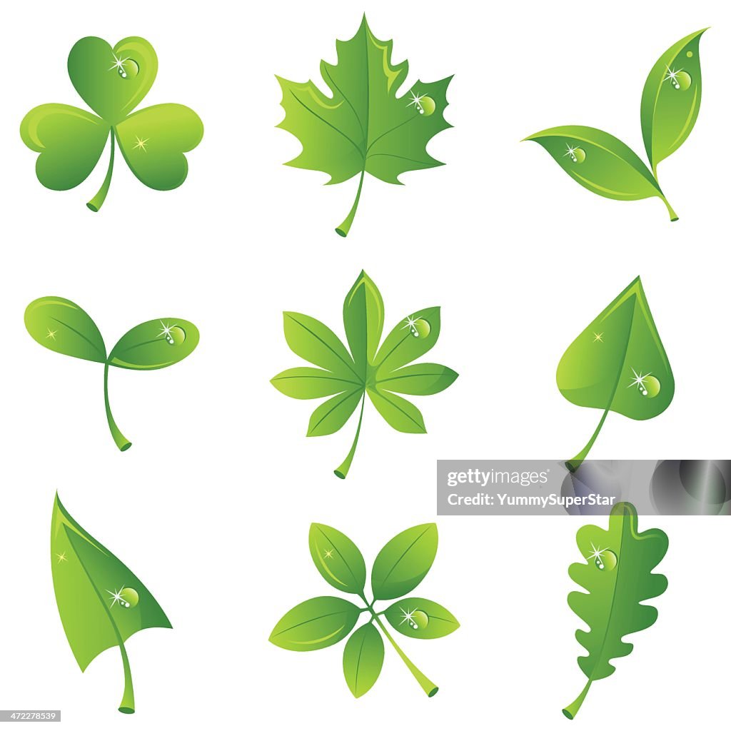 Green Elements High Res Vector Graphic Getty Images
