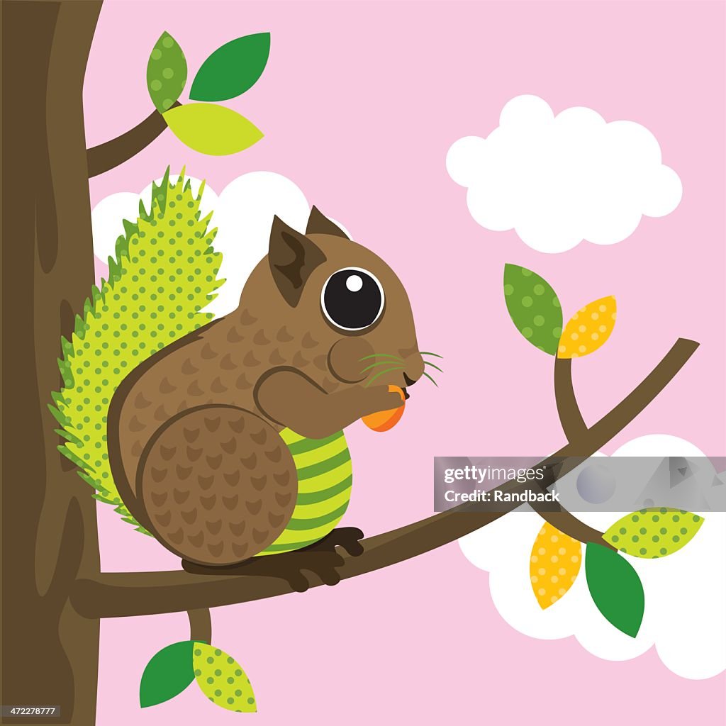 Squirrel