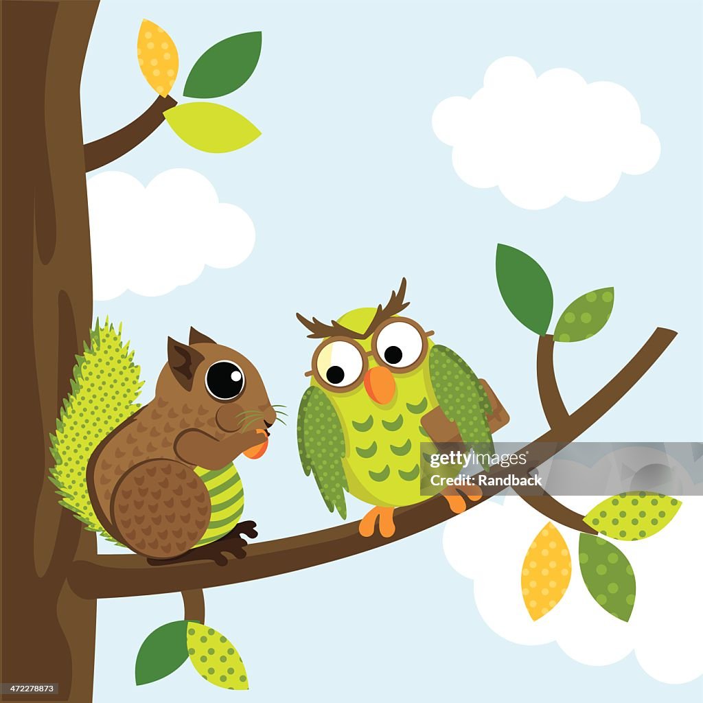 Squirrel and owl chatting