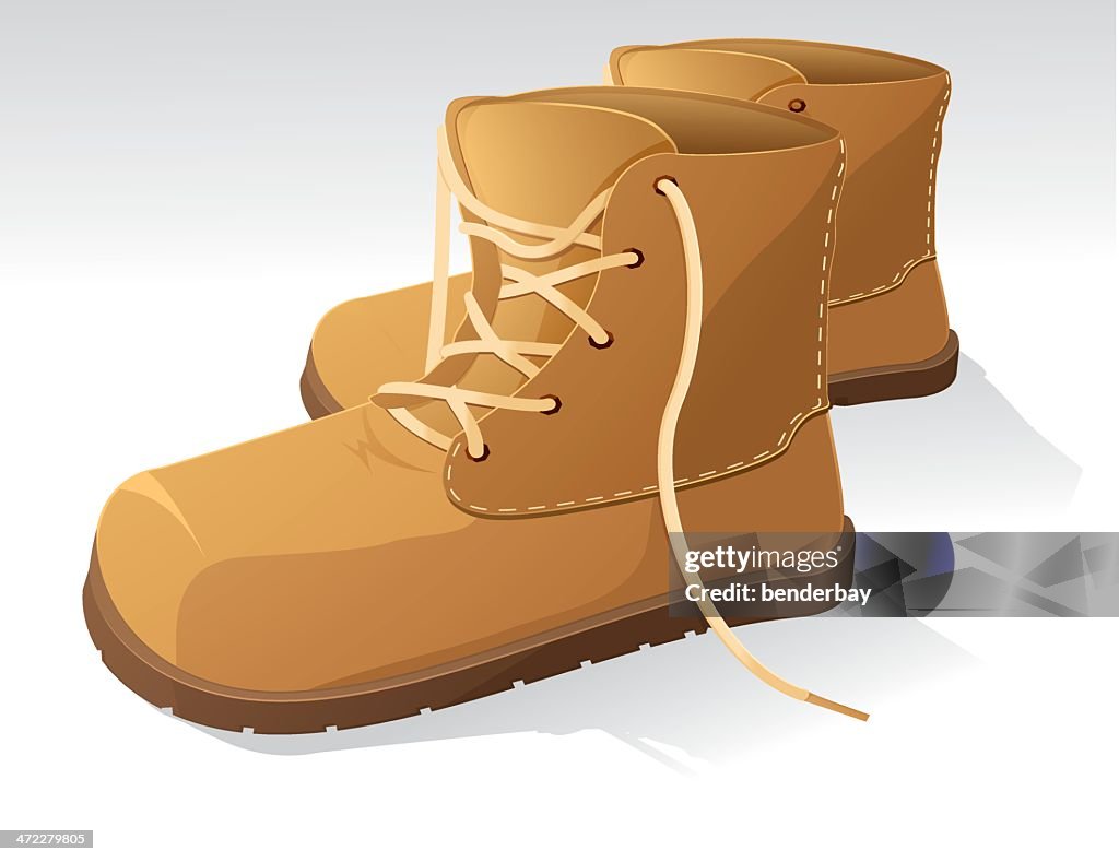 Hiking or working shoes.