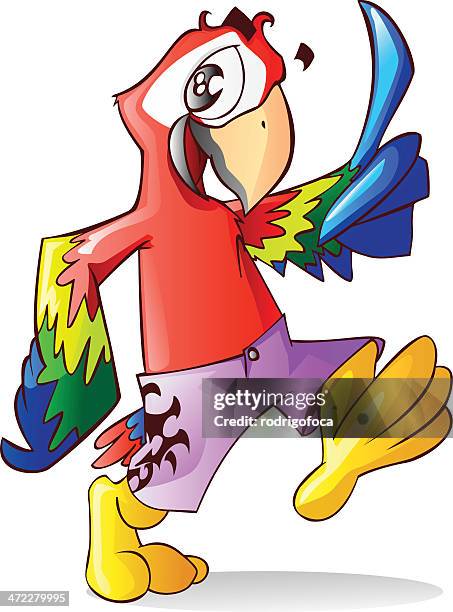pretty cool red brazilian macaw parrot - multicolored red tail parrot stock illustrations
