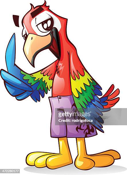 illustrations, cliparts, dessins animés et icônes de tropical des oiseaux ara perroquet rouge - rodrigofoca
