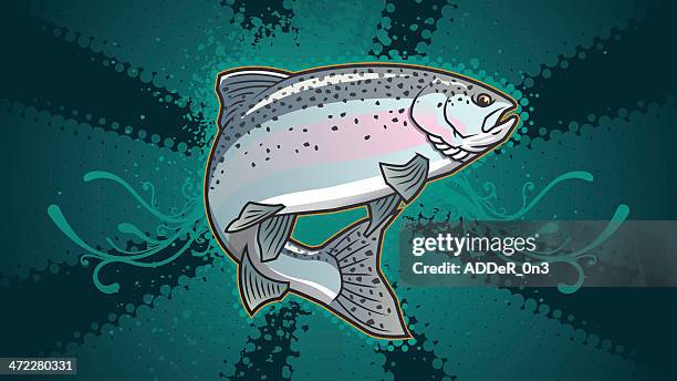 rainbow trout - rainbow trout stock illustrations