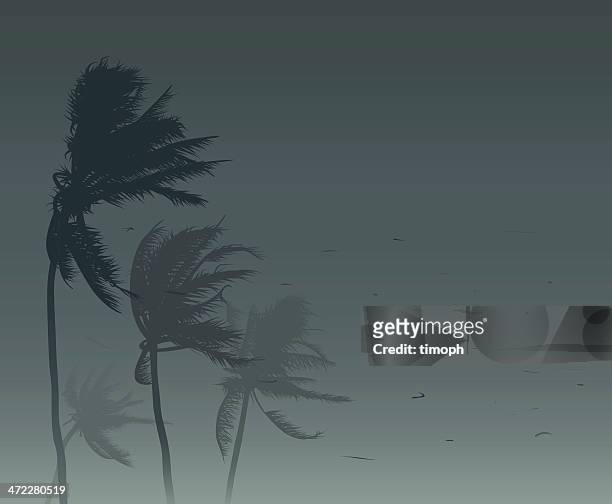 tropical storm - taifun stock-grafiken, -clipart, -cartoons und -symbole