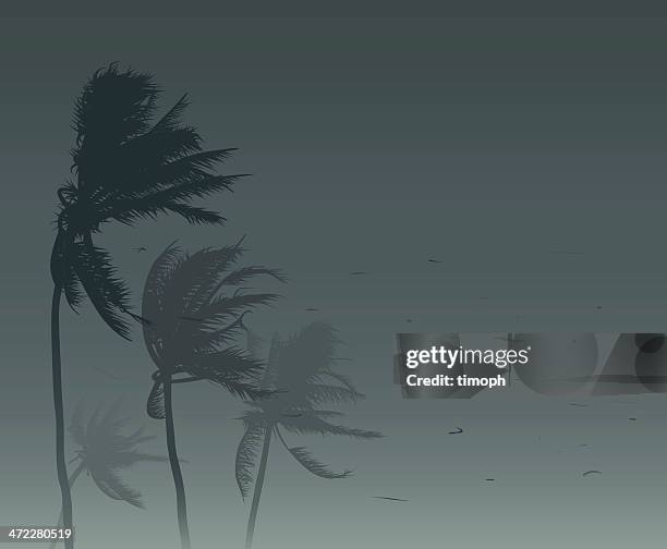 ilustraciones, imágenes clip art, dibujos animados e iconos de stock de tormenta tropical - wind