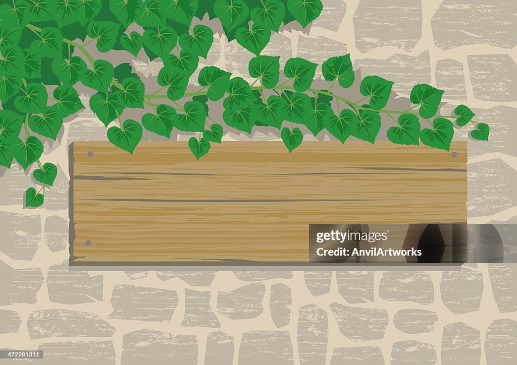 Ivy Sign