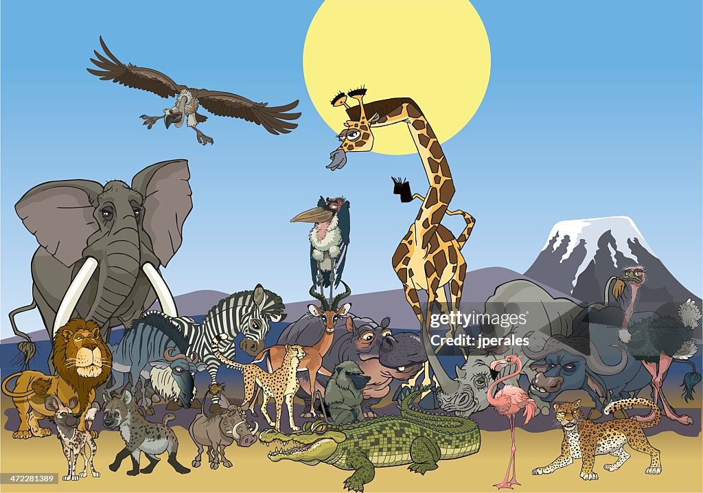 Africa wildlife