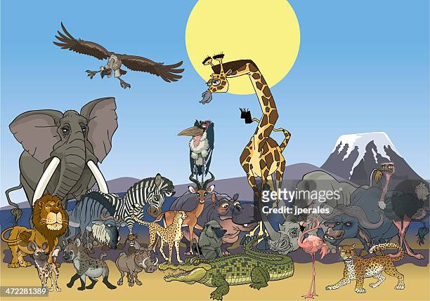 africa wildlife - cheetah zebras stock illustrations