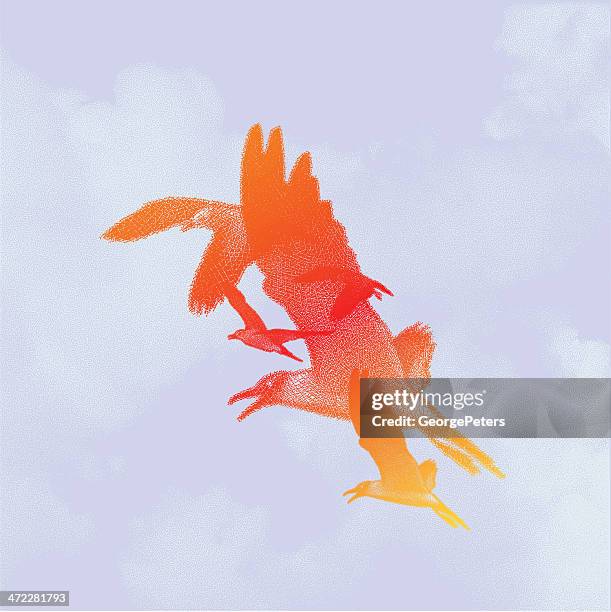 birds flying stich - schabkunst stock-grafiken, -clipart, -cartoons und -symbole