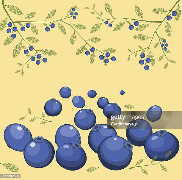 blueberry background with tigs, leaves and berries - stampede stock illustrations