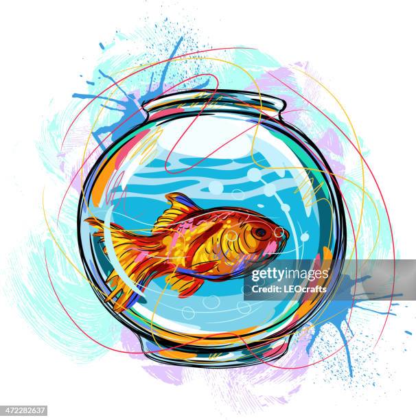 beautiful fish pot