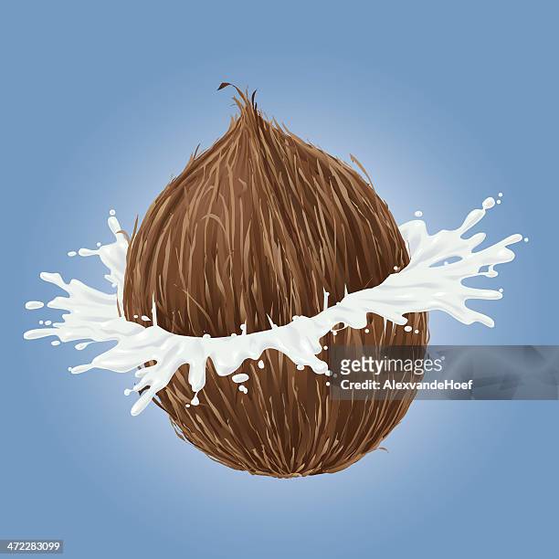 zerbrechen kokosnuss mit milch splash - coconut milk stock-grafiken, -clipart, -cartoons und -symbole