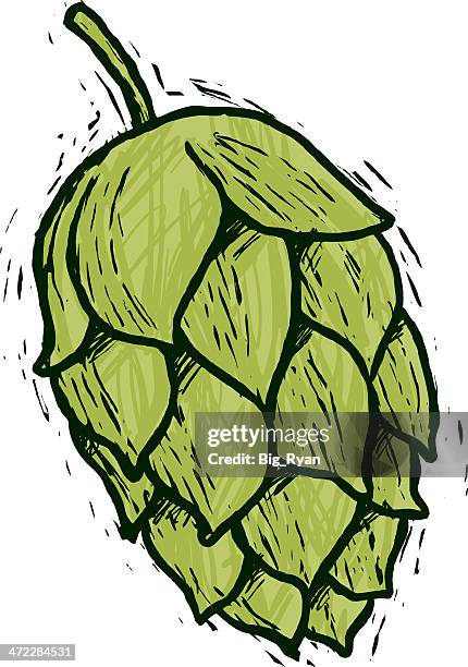 sketchy hops - hops illustration stock illustrations