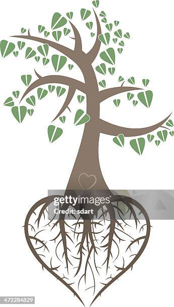 heart tree - root stock illustrations