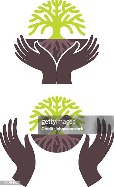 tree bird embrace - hands cupped stock illustrations