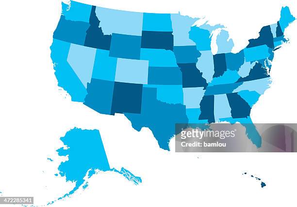 highly detailed map of the usa - all states outlined - gulf coast states stock illustrations
