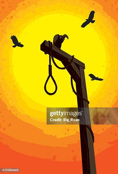 hangman's noose - vulture vector stock illustrations