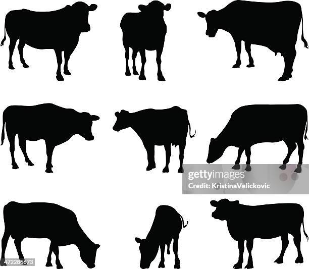 ilustraciones, imágenes clip art, dibujos animados e iconos de stock de de vacas silueta - concept does not exist