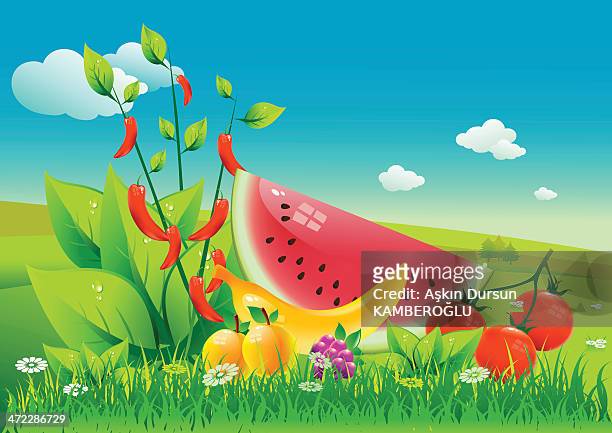 566 Watermelon Cartoon Photos and Premium High Res Pictures - Getty Images