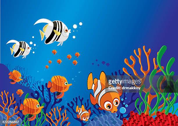 146 Clown Fish Cartoon Photos and Premium High Res Pictures - Getty Images