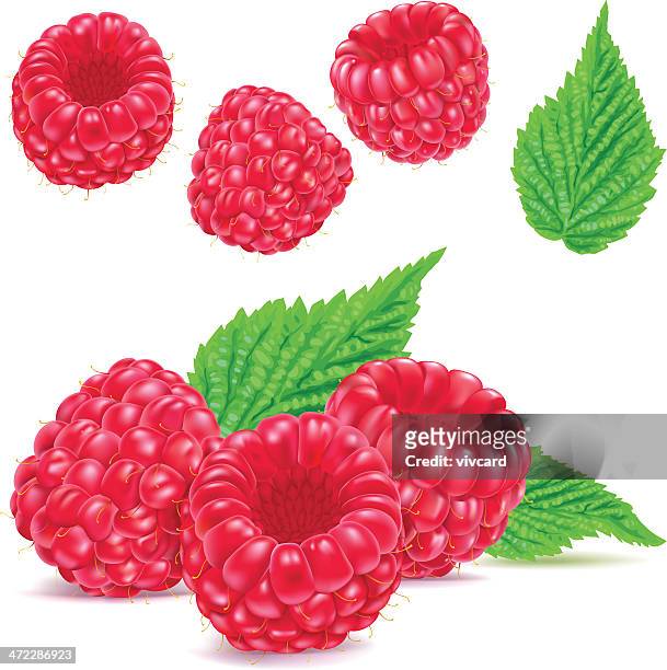 ilustrações de stock, clip art, desenhos animados e ícones de framboesas - raspberry