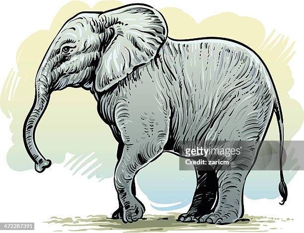 elephant - cartoon characters with big noses 幅插畫檔、美工圖案、卡通及圖標