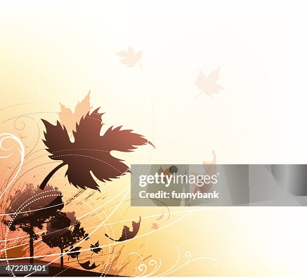 Leaf on nature Leaf on nature