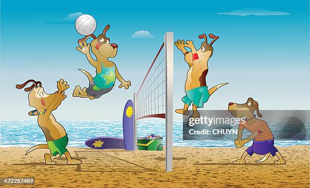 beach volleyball - dog beach stock illustrations
