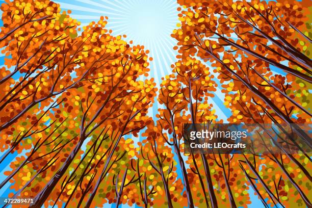beautiful autumn landscape - tall stock illustrations